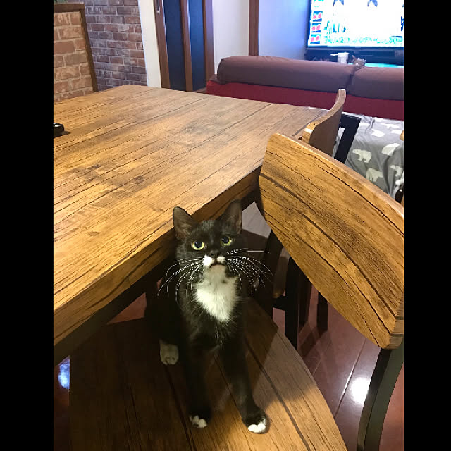 butachanさんの実例写真