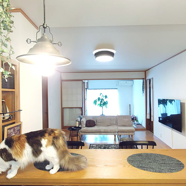 すっきり暮らす/中古住宅/平屋暮らし/シンプルナチュラル/ねことの暮らし...などのインテリア実例 - 2022-09-07 08:12:39