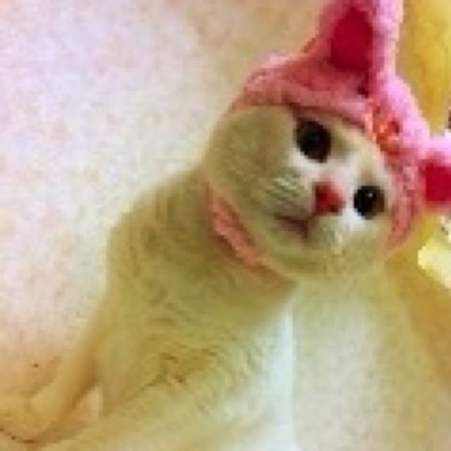 kaoさんの実例写真