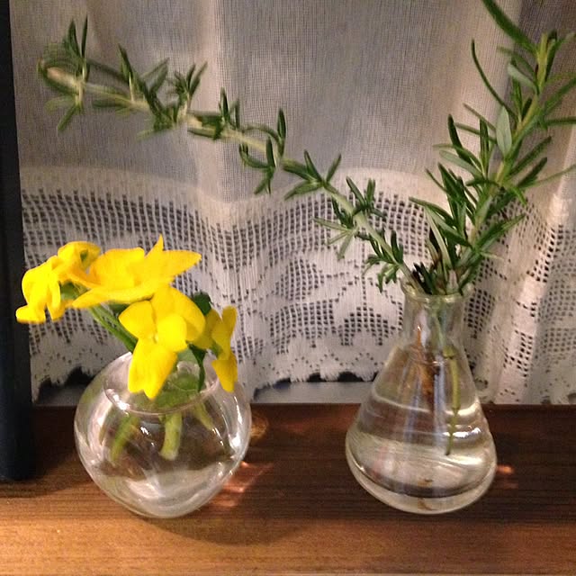 kochiさんの実例写真