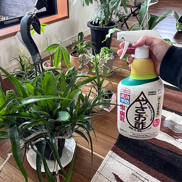 pokowheeさんの部屋