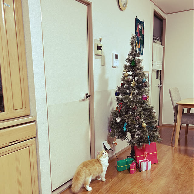 junさんの実例写真