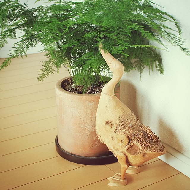 Yutakaさんの実例写真