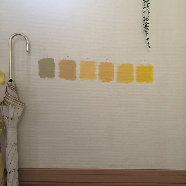 kaerunoameriさんの実例写真