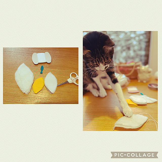 ippu0303Karinさんの実例写真