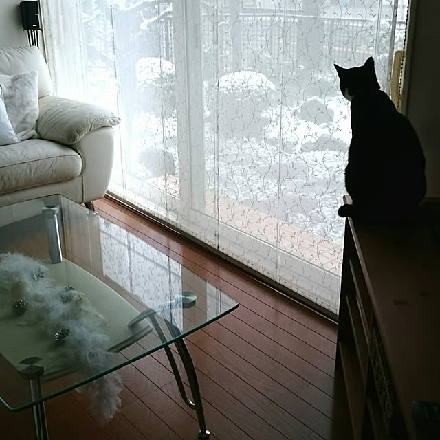 hiyo.pietさんの実例写真