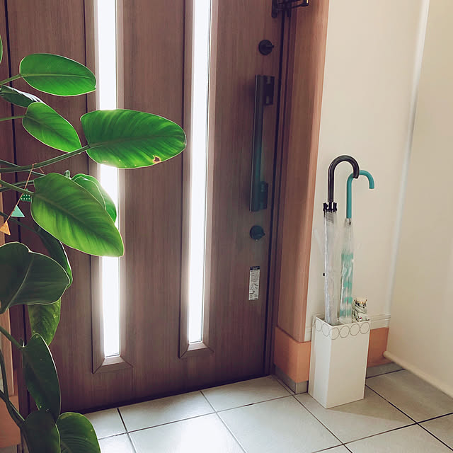 mangoさんの実例写真