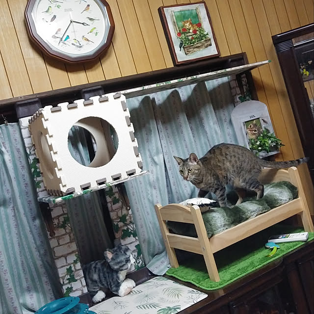 tantomeenさんの実例写真