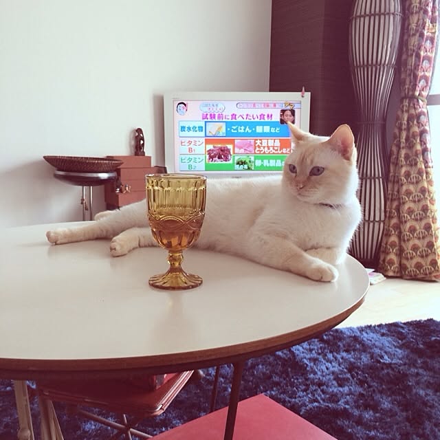 bobooooonさんの実例写真