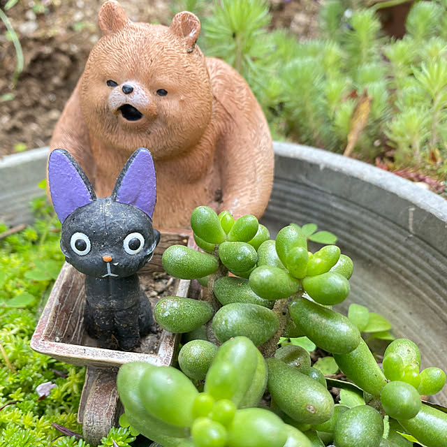 atsuyanさんの実例写真