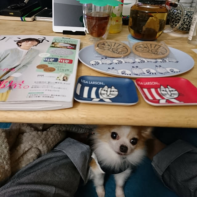 porinさんの実例写真