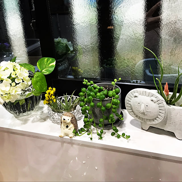 実例写真