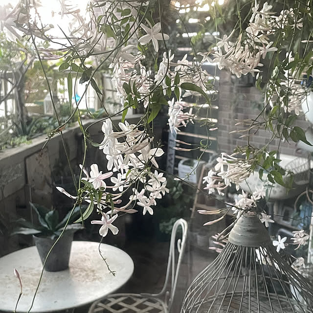 mamisazさんの部屋