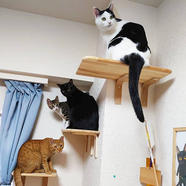 mannaさんの実例写真
