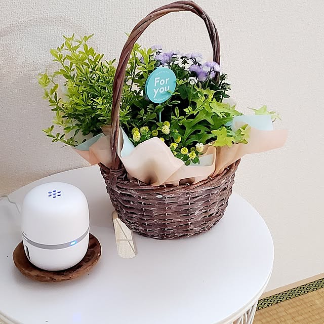 pomさんの部屋