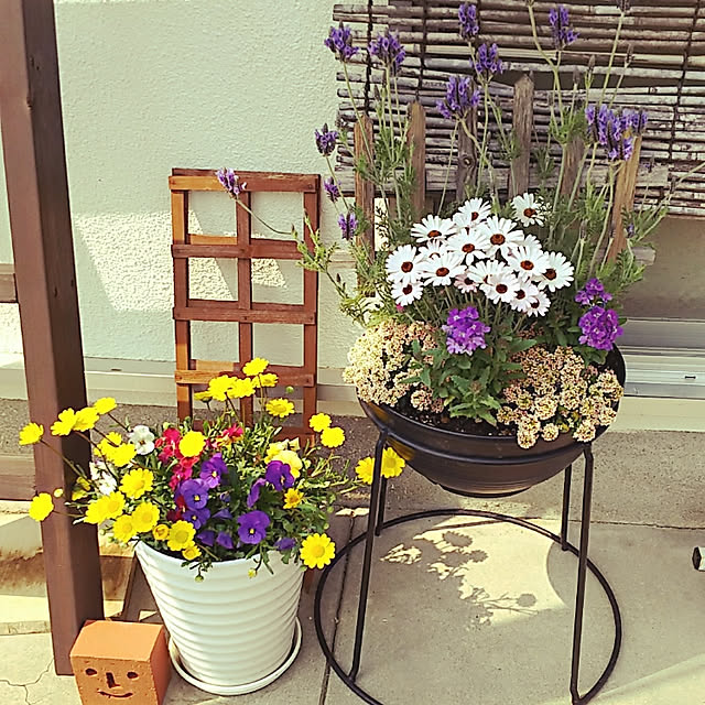 a-min.mamaさんの実例写真
