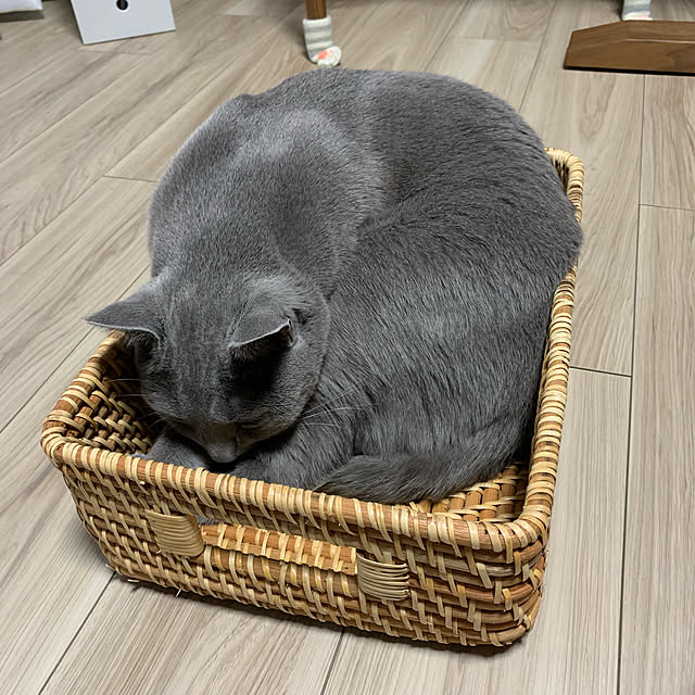 sayuuuさんの実例写真