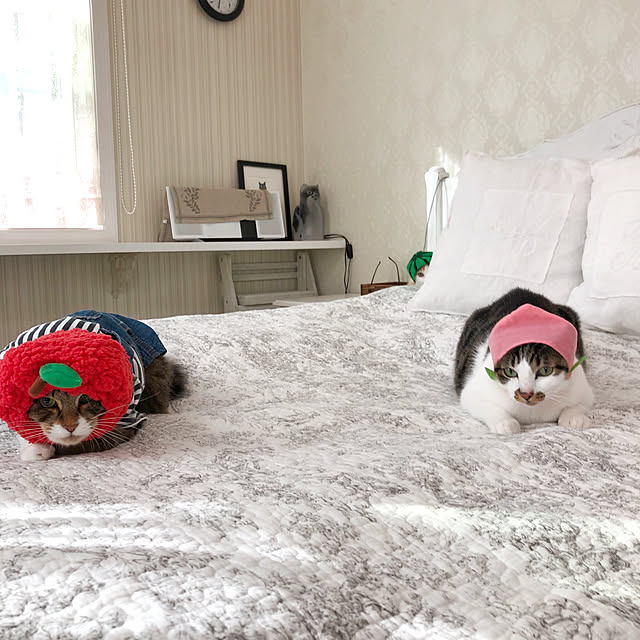 yuchiさんの実例写真