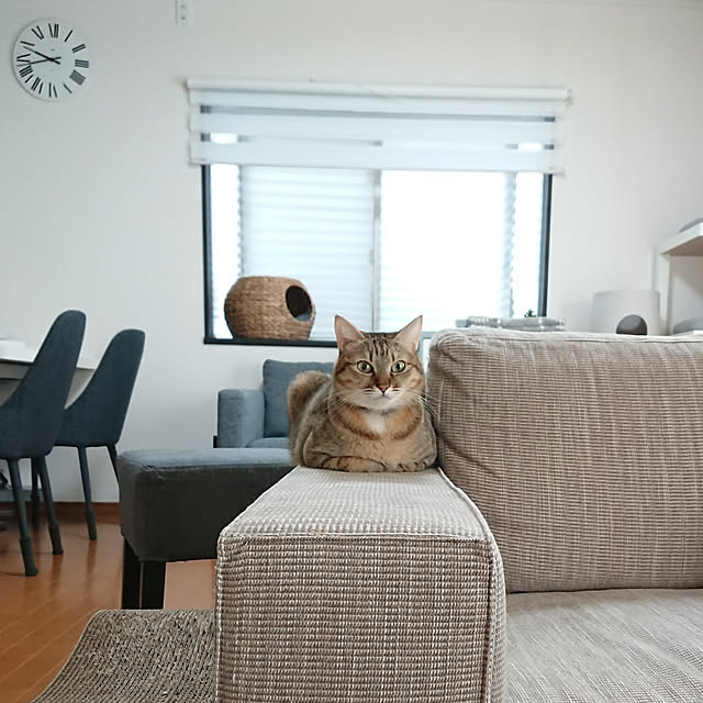 maikyさんの実例写真