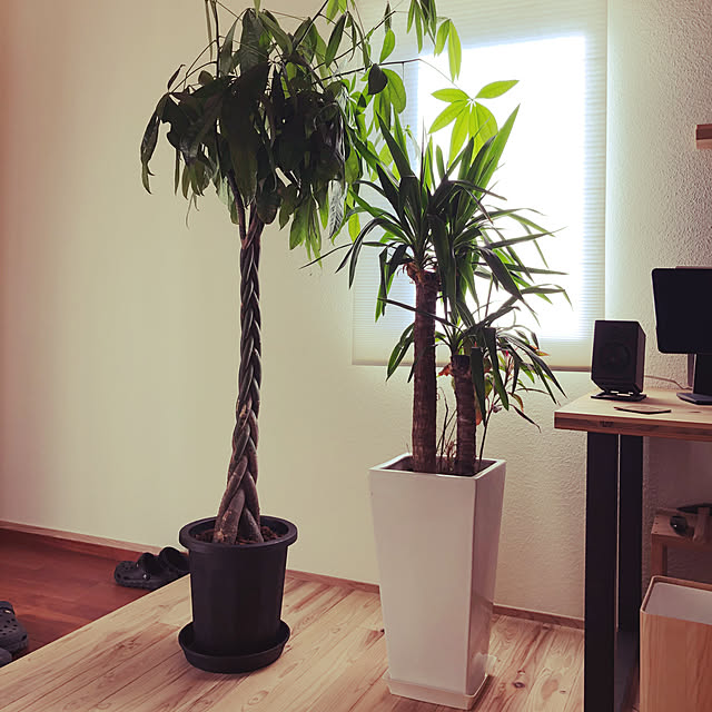 yasaigohanさんの部屋