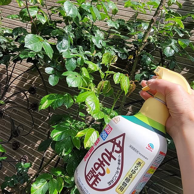 mimi828さんの実例写真