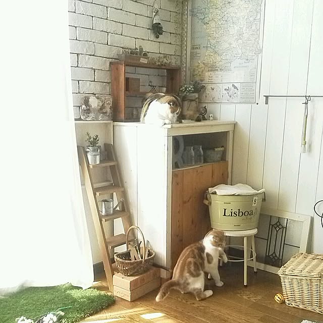 mikiさんの実例写真