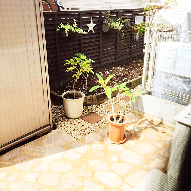 Leafjarkyさんの実例写真