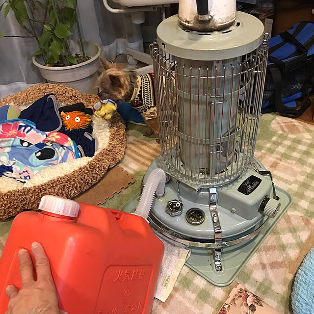 amiromikaさんの実例写真