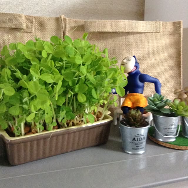 bunbunさんの実例写真