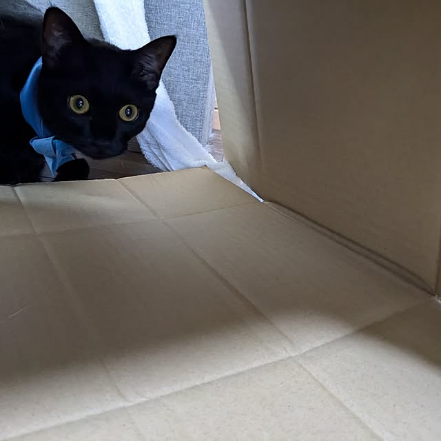 asaさんの部屋