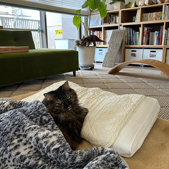 mikomaruさんの実例写真