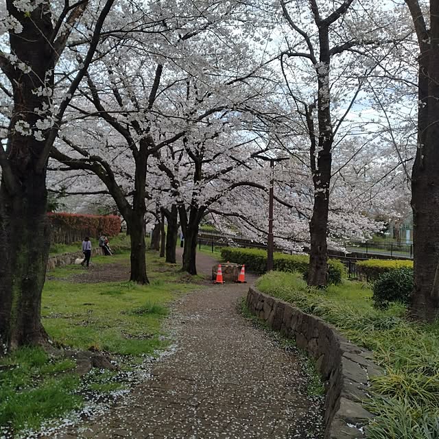 runaさんの実例写真