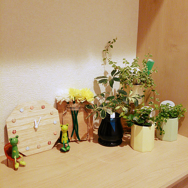 H.Sさんの実例写真