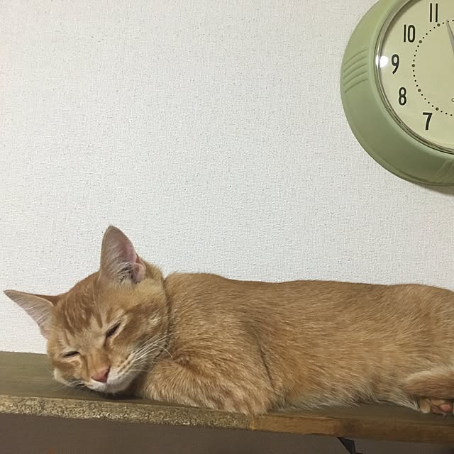 bananaさんの実例写真