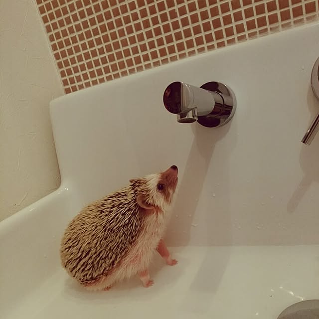 kuruさんの実例写真