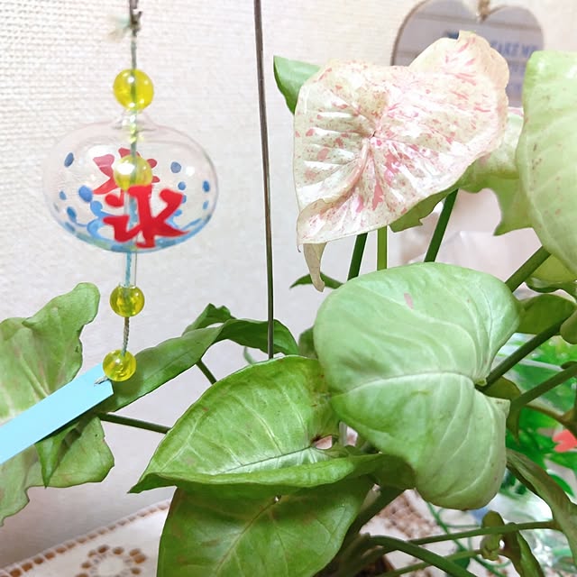 katさんの部屋