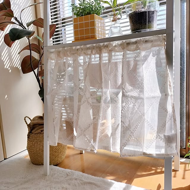 38さんの実例写真