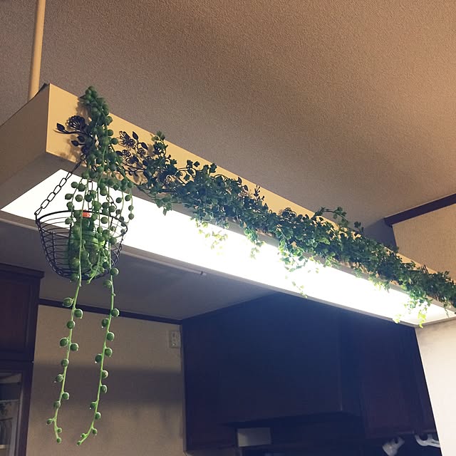 churaさんの実例写真