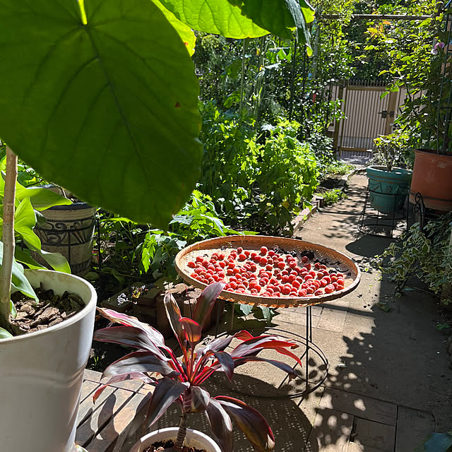 botanさんの実例写真