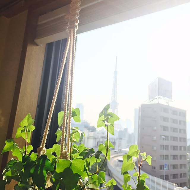 yuさんの実例写真