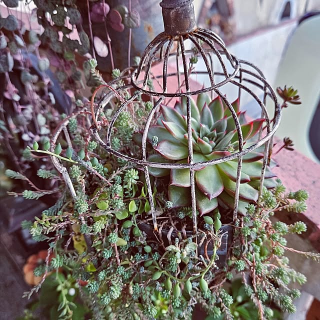 mocomocoさんの部屋