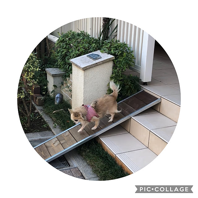 luv_asakoさんの実例写真