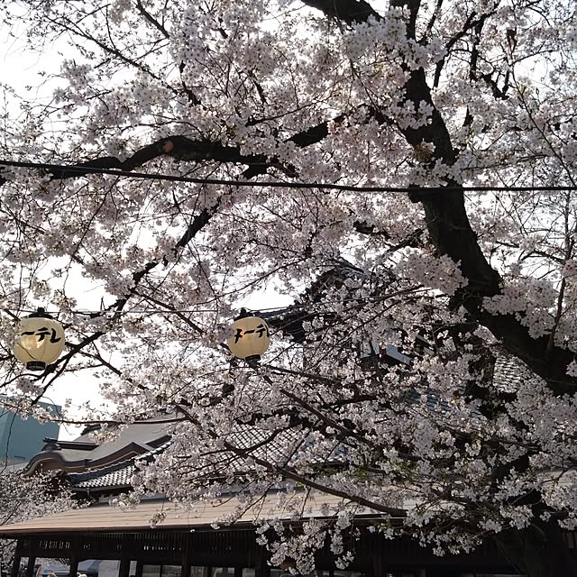 kakkaさんの部屋