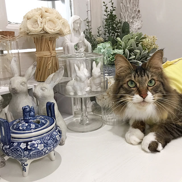 yuchiさんの実例写真