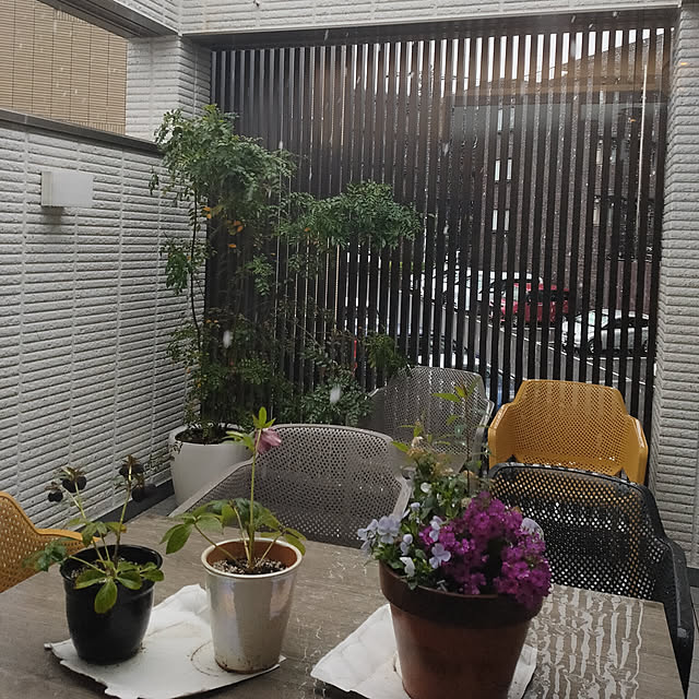 yamayamaさんの実例写真