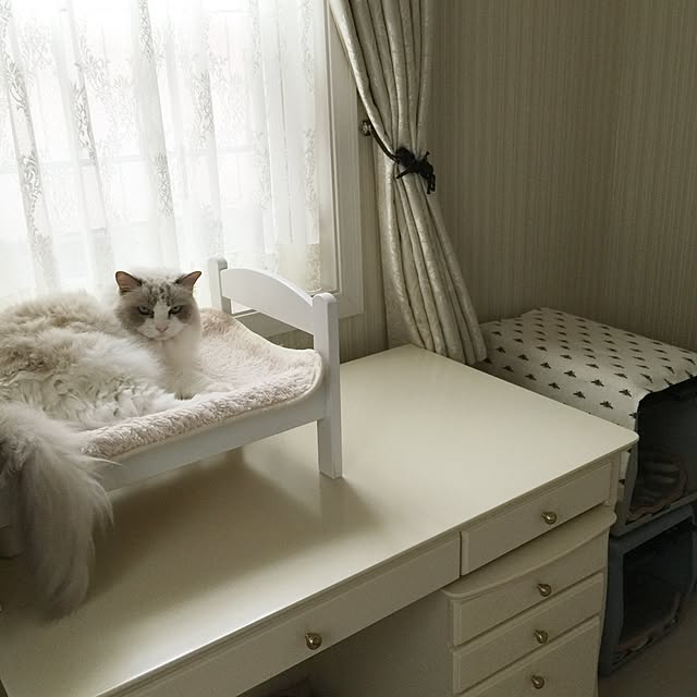 yuchiさんの実例写真