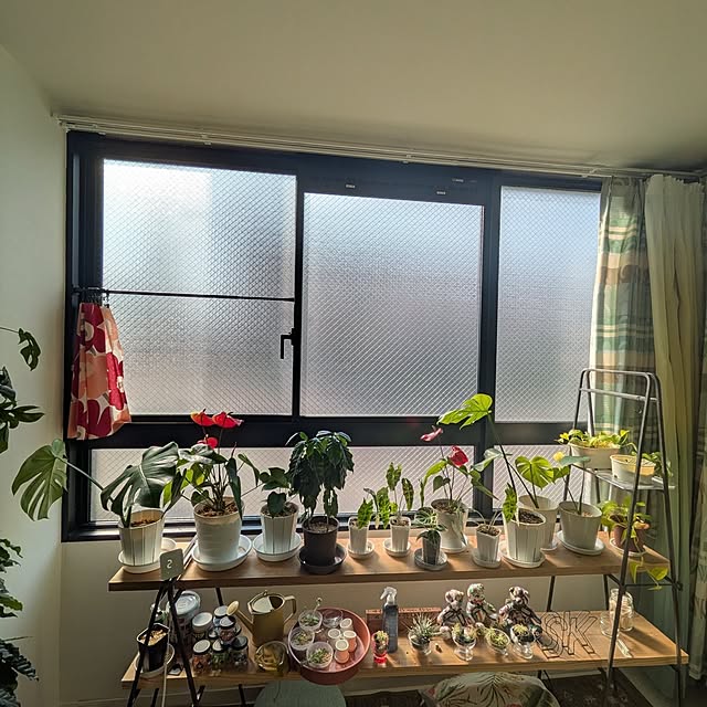 kolo92さんの実例写真