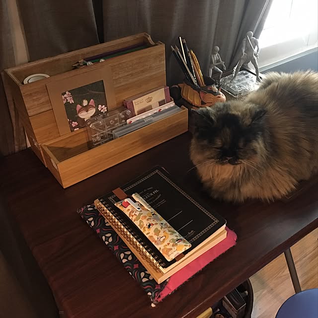 onezumisanさんの実例写真