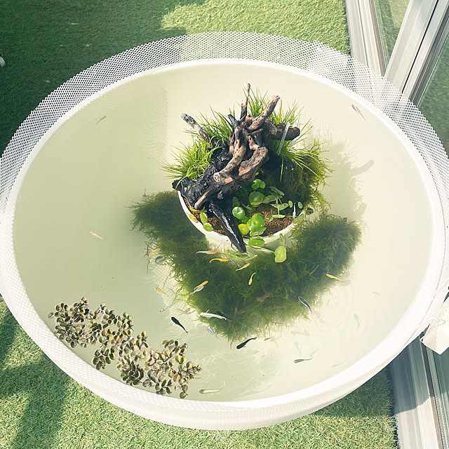 nanakoさんの部屋