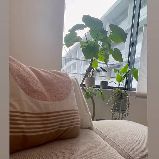 lrikaさんの部屋